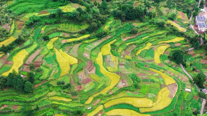 浙江黄岩西部山区，富山乡，半山古村落