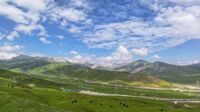 甘肃祁连山草原山丹军马场