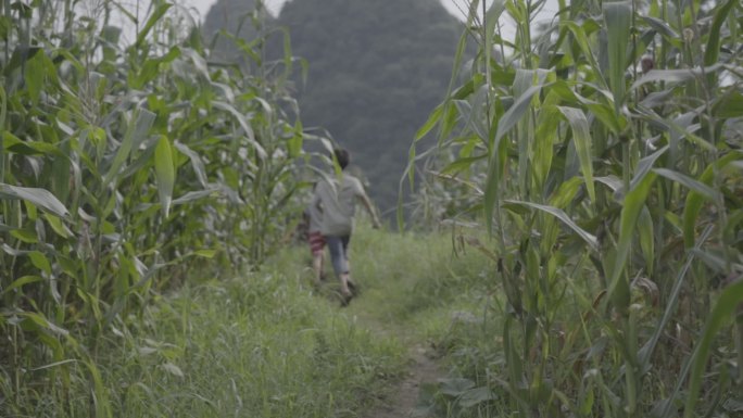 贵州贫困山区孩子田间奔跑