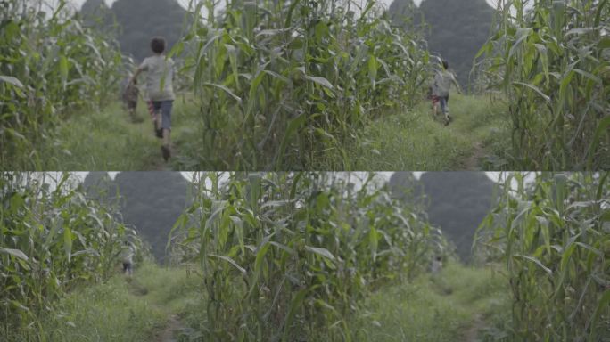 贵州贫困山区孩子田间奔跑