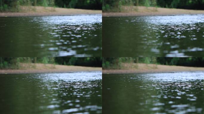 深山小溪溪水流淌小清新4k空镜头素材