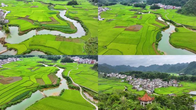 航拍广西靖西平江村稻田风光