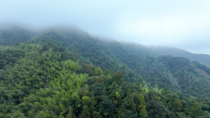 绿水青山航拍森林山河湖水绿色森林大自然