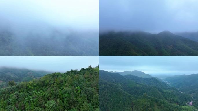 绿水青山航拍森林山河湖水绿色森林大自然