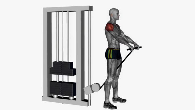 电缆前提直杆健身运动锻炼动画男性肌肉突出演示4K分辨率60 fps