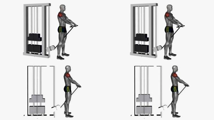 电缆前提直杆健身运动锻炼动画男性肌肉突出演示4K分辨率60 fps