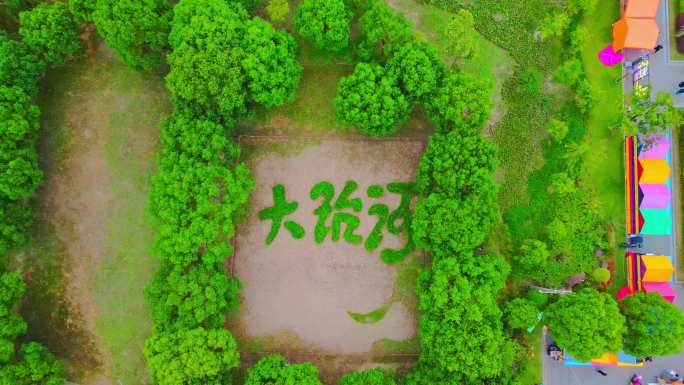 上海大治河公园（上海闵行区）4K航拍