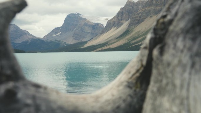 这是加拿大班夫国家公园的弓湖宁静祥和的风景
