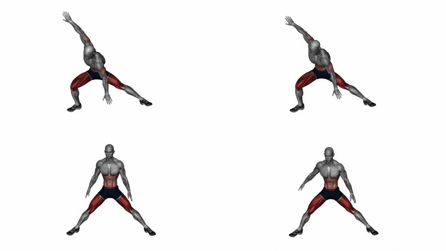 健身操侧弓步拉伸健身运动锻炼动画男性肌肉突出演示4K分辨率60 fps