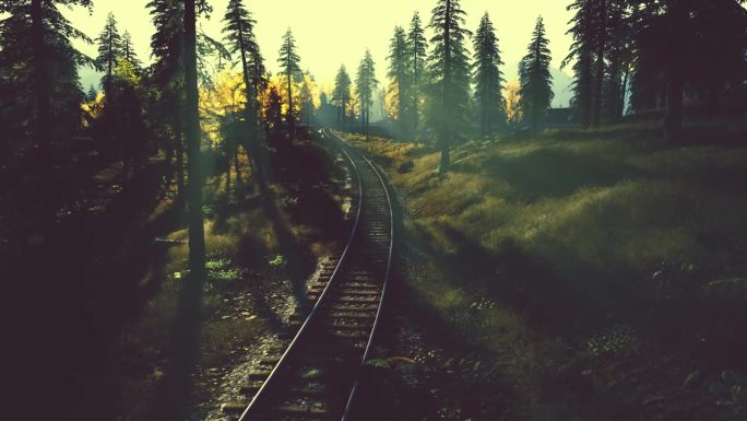 夕阳西下，饱经风霜的火车轨道穿过云杉树丛