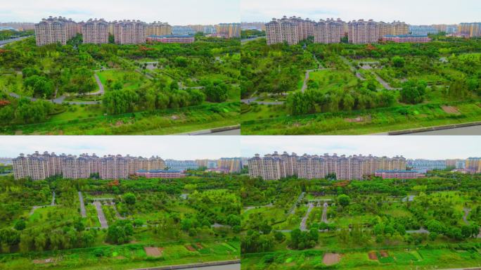 鲁汇镇大治河公园（上海闵行区）4K航拍
