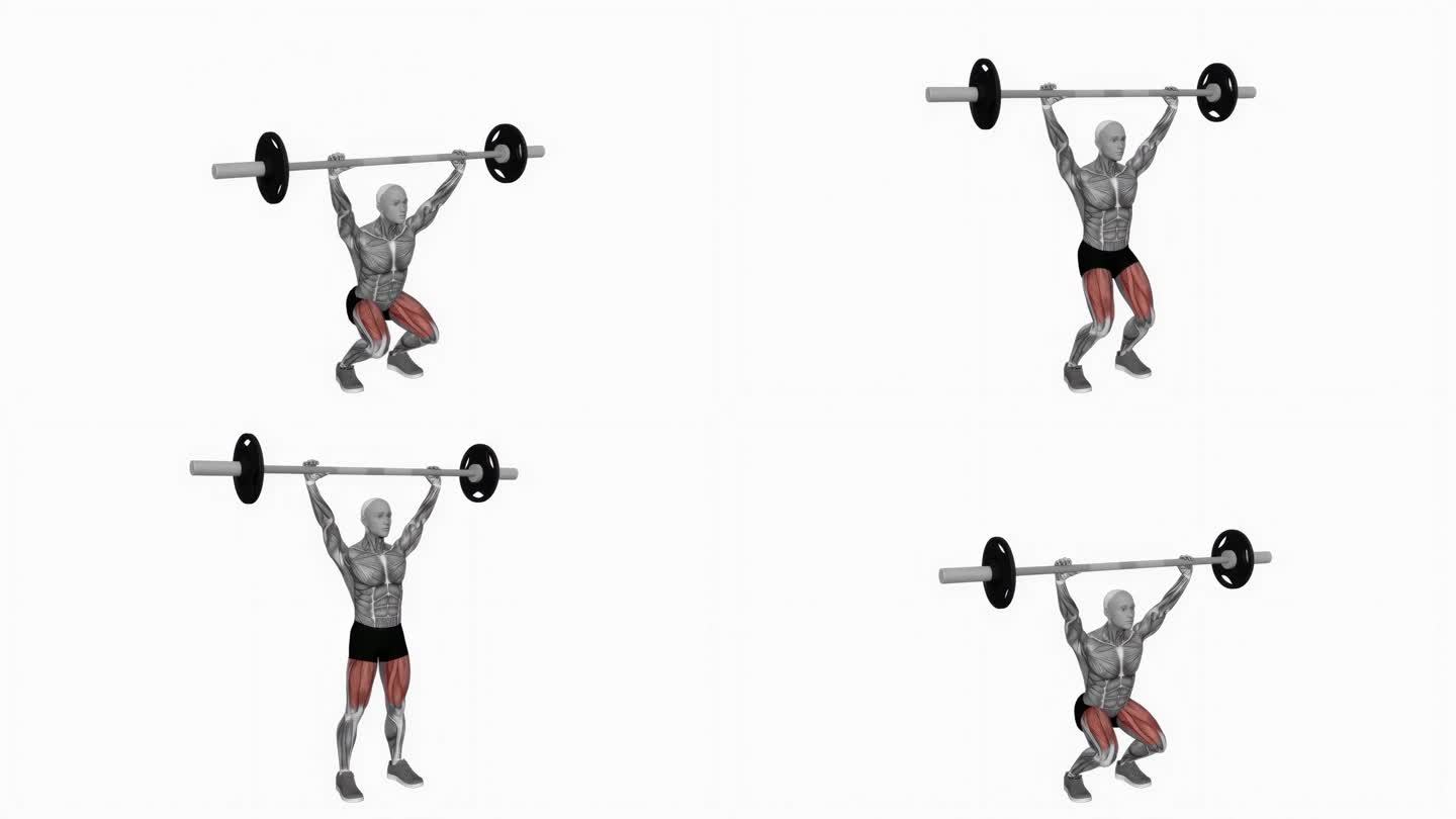 杠铃上蹲健身运动锻炼动画男性肌肉突出演示4K分辨率60 fps