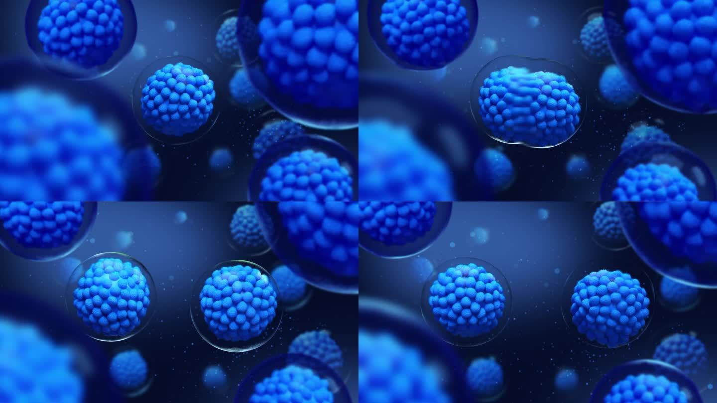 显微镜下细胞分裂的三维动画