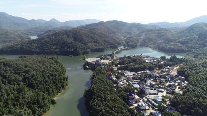 西双版纳野象谷片区