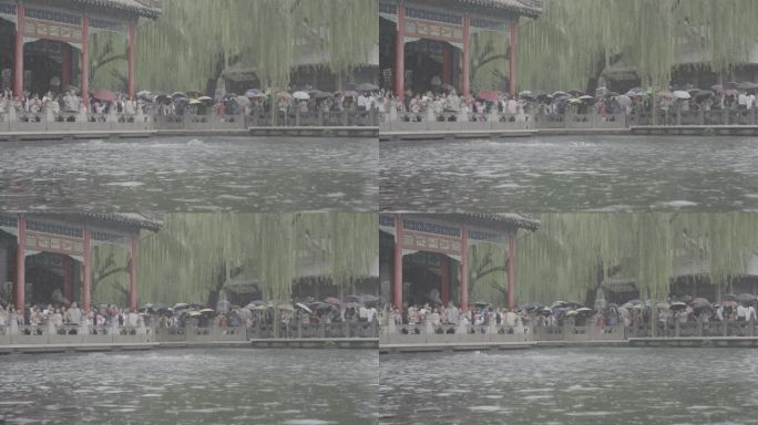 4K120雨中趵突泉 月牙泉