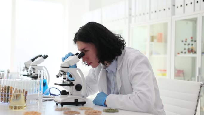 在农业实验室里，科学家在显微镜下用各种谷物检查玻璃试管
