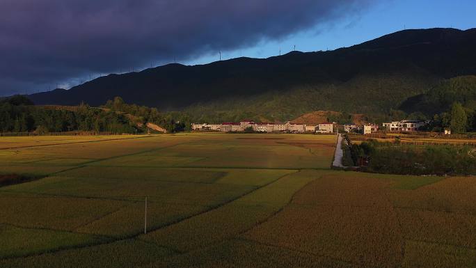 利川南坪稻田03