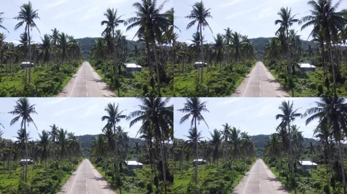空中摄影车在菲律宾锡亚尔高岛的棕榈树路上