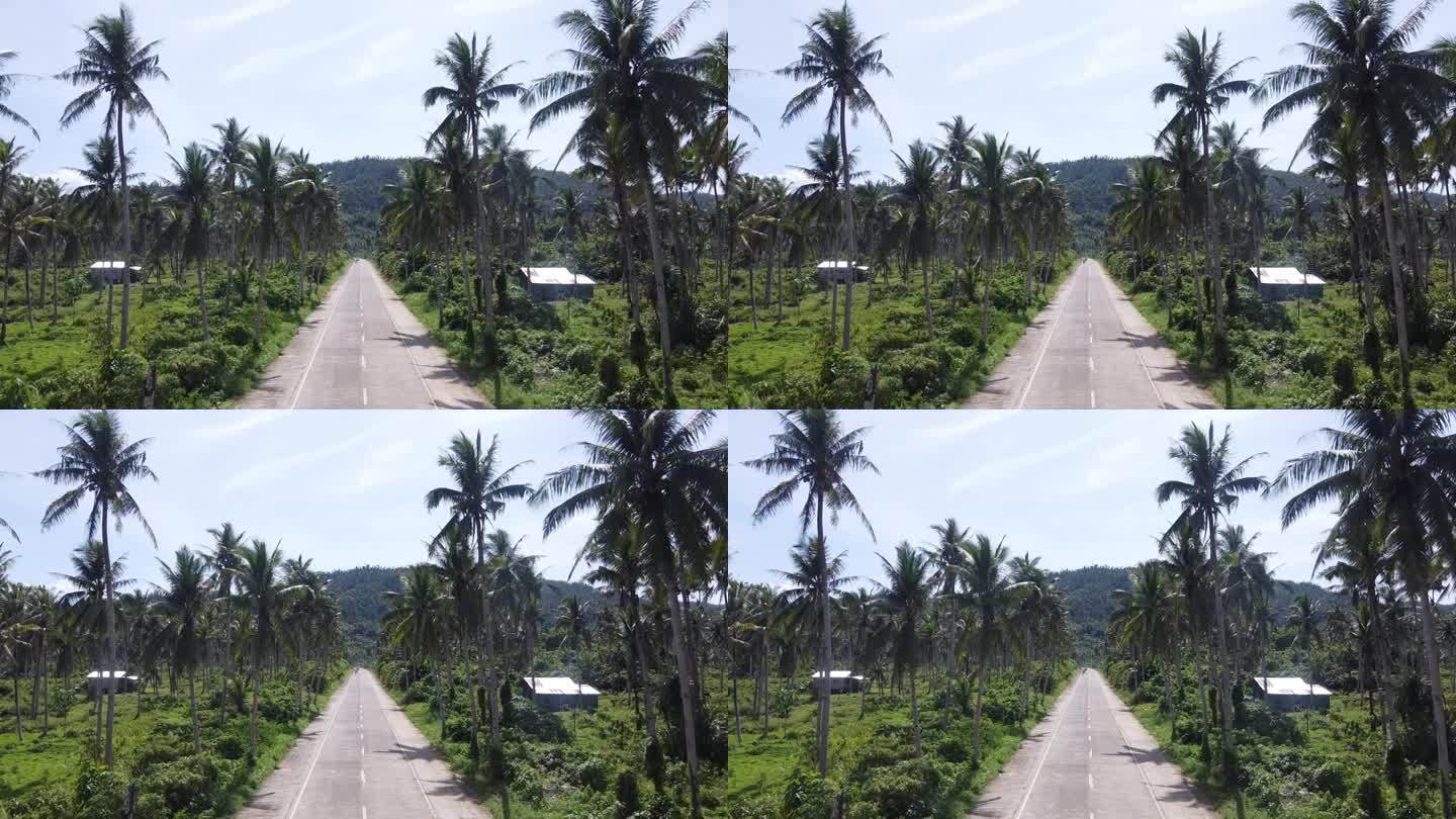 空中摄影车在菲律宾锡亚尔高岛的棕榈树路上