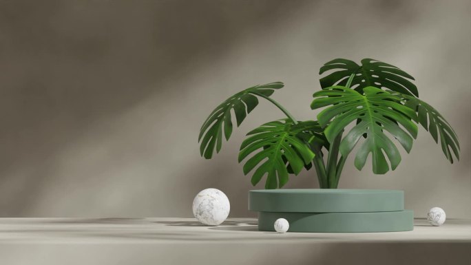 怪物植物和大理石球的循环无缝阴影动画，墨绿色圆柱体平台的3d视频渲染场景模板