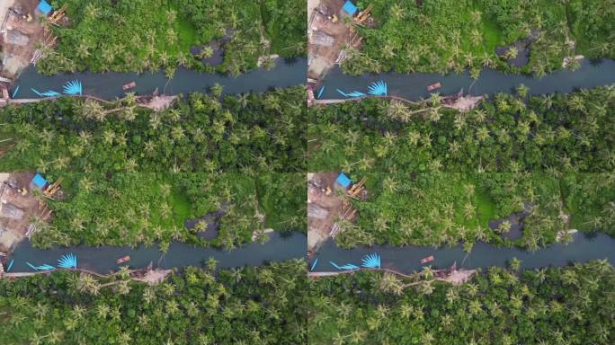 菲律宾Siargao岛的Maasin河上，弯曲的椰树绳摆动。空中