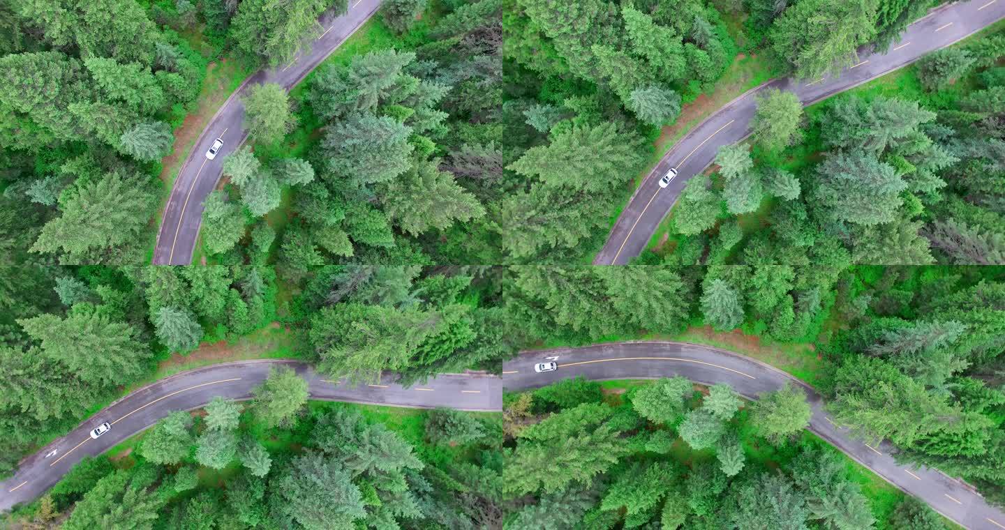 森林中的公路汽车航拍