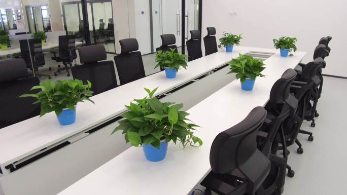 会议室空境 盆栽 桌椅