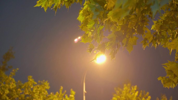 雨夜城市情绪氛围感空镜