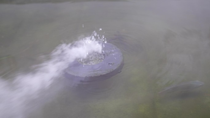 4K实拍，烟雾缥缈装饰水景池锦鲤自在畅游