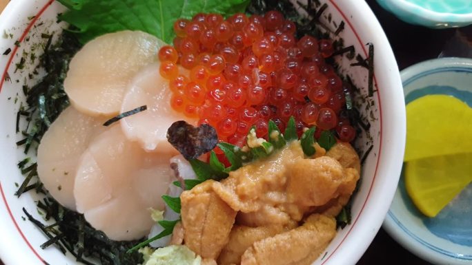 北海道著名的生鲜海鲜饭饭饭，三文鱼，鱼子，扇贝和海胆4k