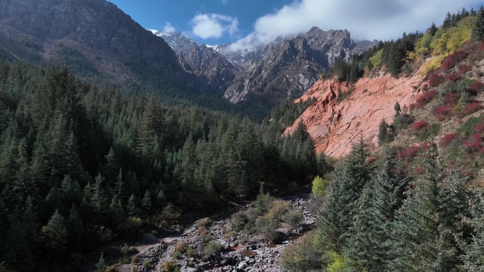 甘肃 张掖 祁连山马蹄寺风景区 森林雪山