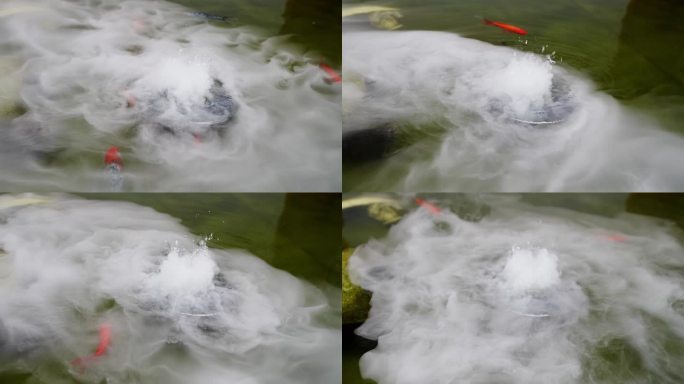 4K实拍，烟雾缥缈仙境般锦鲤自在畅游。