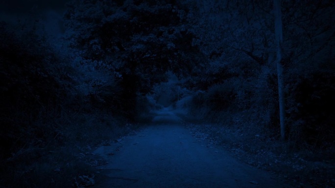 在夜晚的乡间小路上走过大门