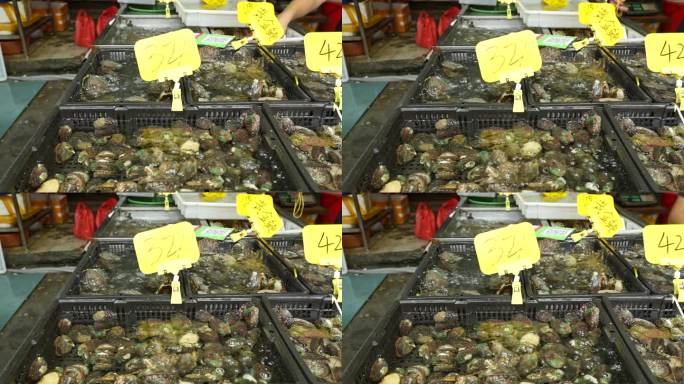 福建厦门海鲜市场 海鲜 鲍鱼 菜市场