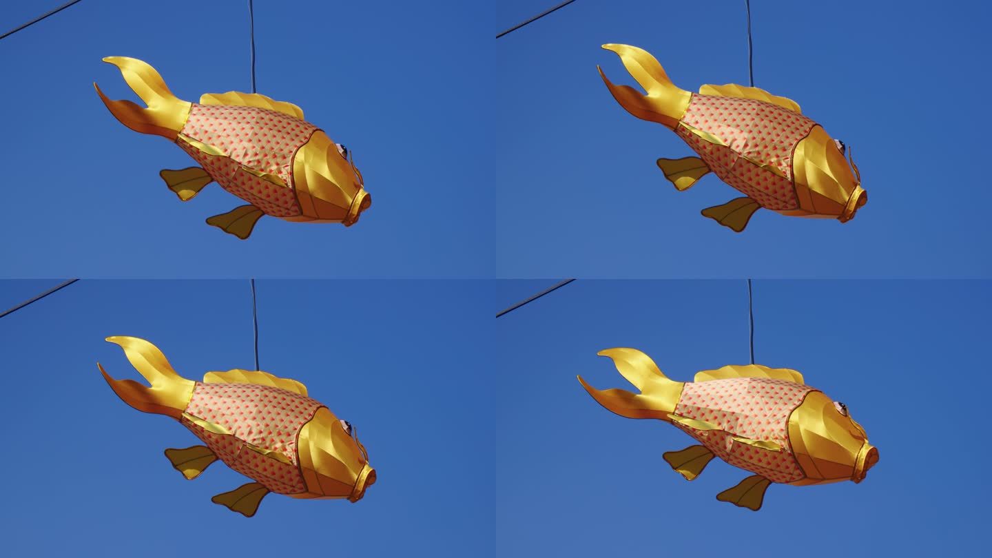悬挂着的金鱼花灯各式灯笼