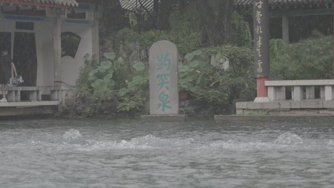 4K120雨中趵突泉 月牙泉