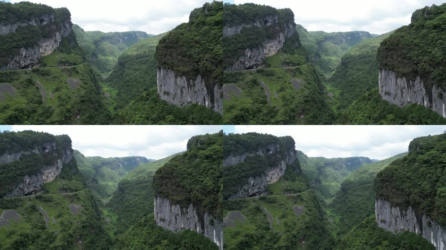 仙女山中