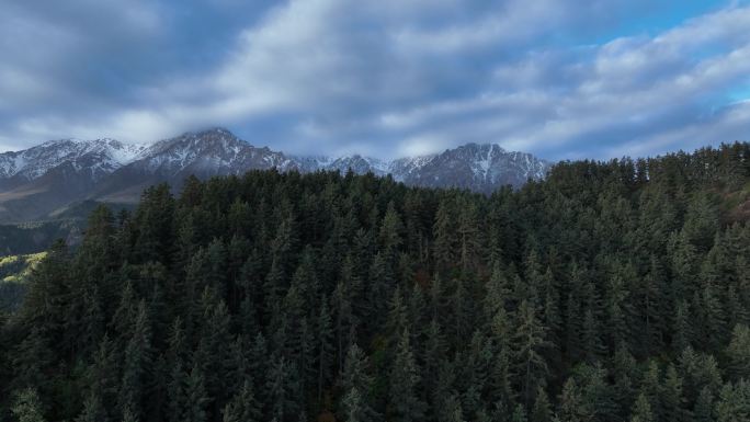 甘肃张掖马蹄寺 祁连山 航拍 森林 雪山