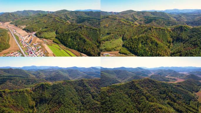 秋季风光 红叶 枫叶 农田 五花山 航拍