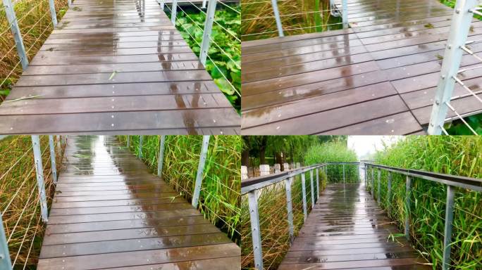雨后的池塘护栏走道美景