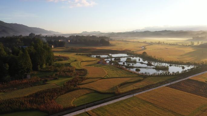 利川南坪稻田01