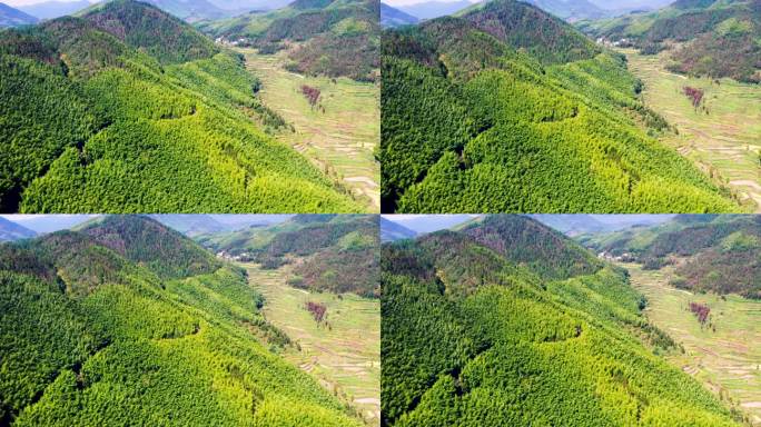 浙江黄岩，富山乡，山区风景