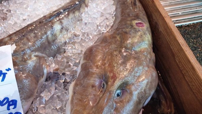 在木崎温泉地区的日本当地市场出售的奇怪的新鲜鱼