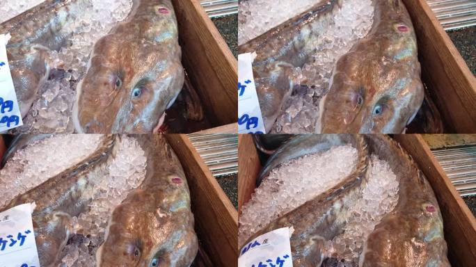 在木崎温泉地区的日本当地市场出售的奇怪的新鲜鱼