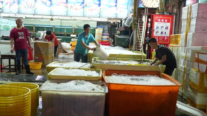 海鲜市场 售卖鲍鱼 鲍鱼 皇金鲍 大鲍鱼