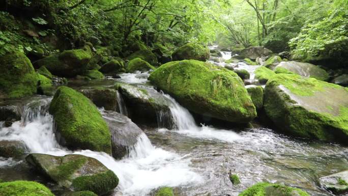 山水 自然 山川 河流 水 雨  水滴