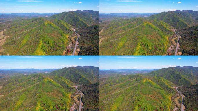 秋季风光 红叶 枫叶 农田 五花山 航拍