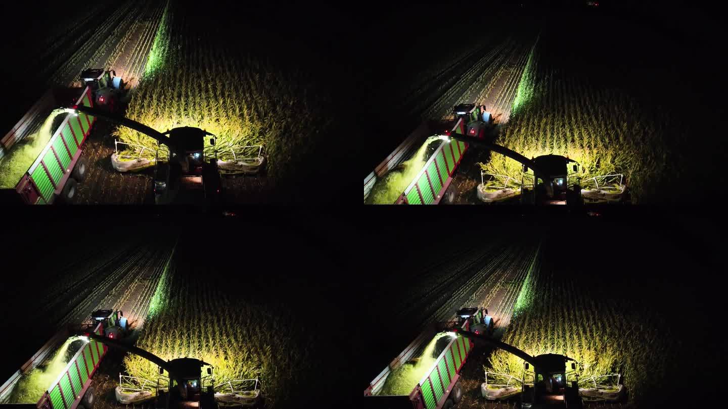 航拍的玉米切碎机收割玉米和装载切碎的玉米到拖拉机拖车在深夜。夜间的玉米切割机，田野里有灯光。驾驶室后