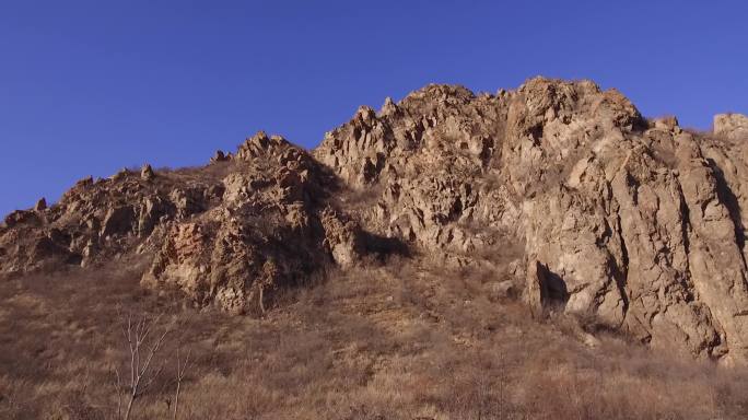 荒山 枯树枝 草地 寒冷