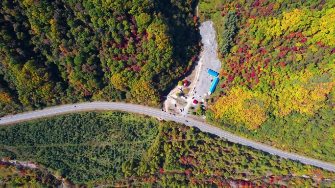 秋季风光 红叶 枫叶 农田 五花山 航拍